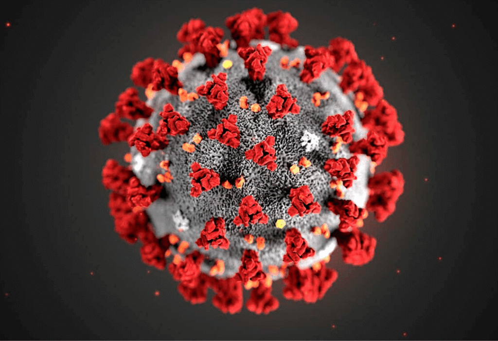 article image - בצל הקורונה: מה מציעות לכם חברות הטלוויזיה?