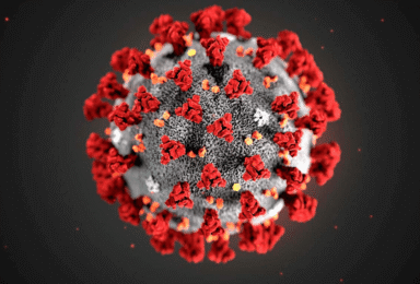 בצל הקורונה: מה מציעות לכם חברות הטלוויזיה?