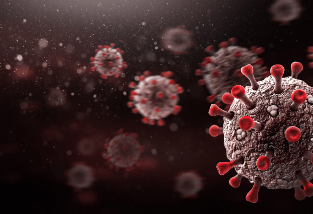 article image - קורונה – ספקיות האינטרנט במשבר או בעלייה