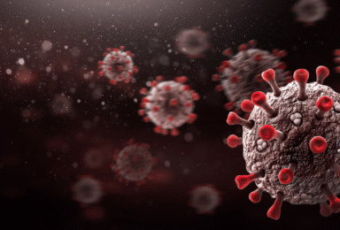 קורונה – ספקיות האינטרנט במשבר או בעלייה