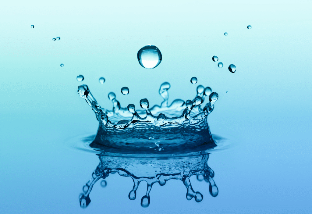 article image - הכירו את בר המים פנמרה