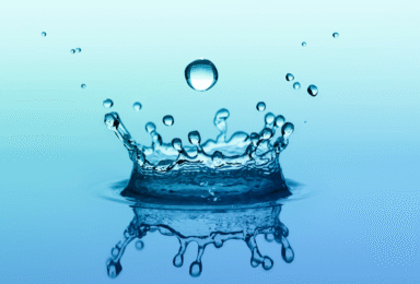 הכירו את בר המים פנמרה