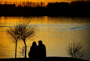 זרה: הצצה מרתקת לחדרי החדרים של ההיסטוריה