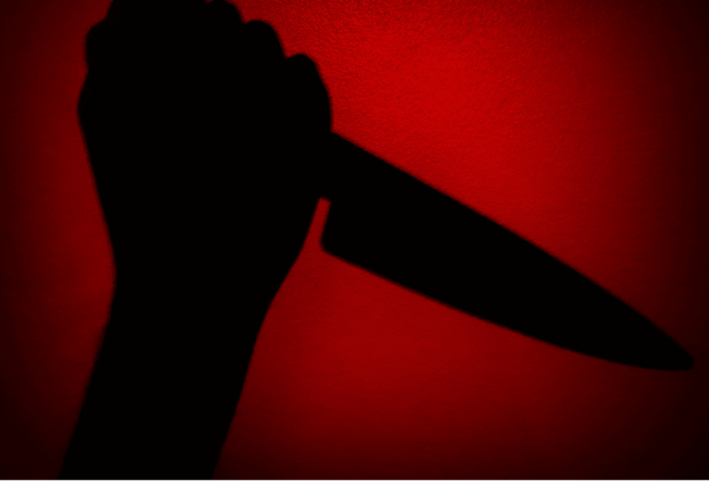 article image - למה נשים רוצחות – סקירה