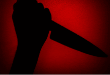 למה נשים רוצחות – סקירה