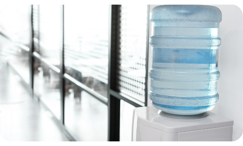 article image - הסיפור של מי עדן: ממעיינות טבעיים להכרה עולמית